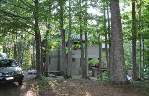 Casa nel bosco alle Macinaie - Foto 1