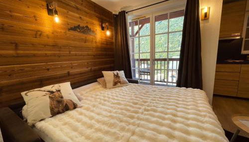 "La clé dorée" Studio balcon ensoleillé Vue montagne wifi - Photo 4