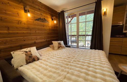 "La clé dorée" Studio balcon ensoleillé Vue montagne wifi - Photo 4