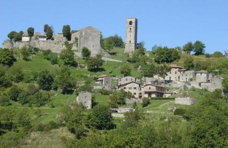 Grillo Rosso Taverna - Foto 13