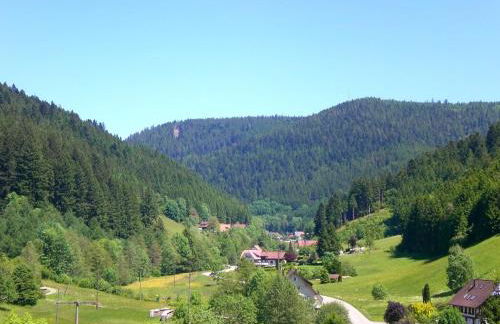 Hideaway Near Black Forest - Photo 39