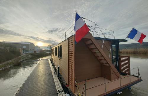 House Boat avec SPA naviguant en Champagne - Foto 12