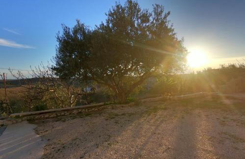 Apartman Tina - Photo 12