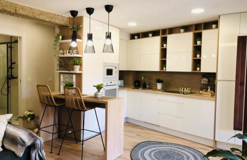 EL CAPRICHO DEL ARCO_Apartamentos Burgos Catedral - Foto 24