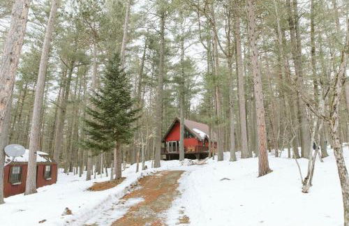 ADK Forest Cabin near Lake Placid with Hot Tub and Ice Bath - Foto 10
