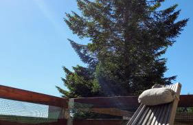 STUPENDO 3 CAMERE, PISCINA, BOX, VICINISSIMO PISTE - Foto 9