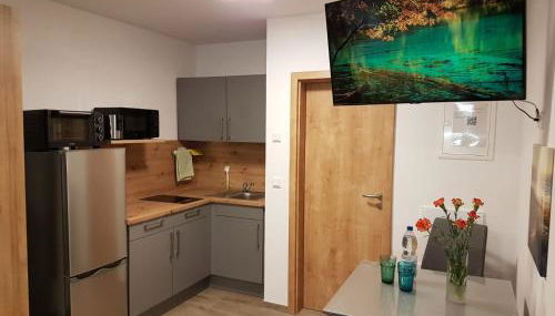 Casa Lago Ferienappartements Steinberg am See - Foto 4, stove