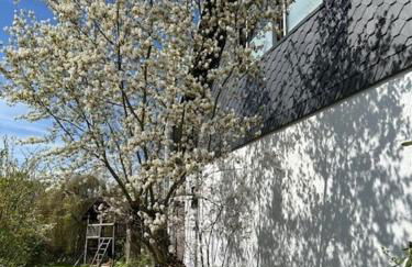 Ferienhaus „Burgpalace“ - Foto 27