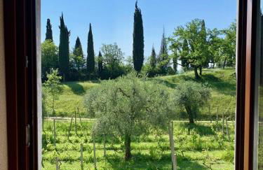 Agriturismo Cervano - Foto 28