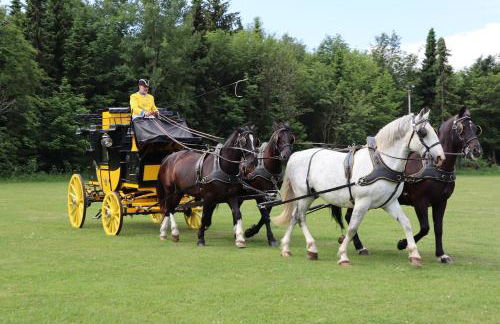 Verlegerhaus Seiffen - Foto 42