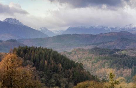 Snowdonia Stone Cottage - Photo 40