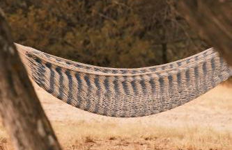 Crows Nest Treehouse At El Mistico Ranch - Foto 17