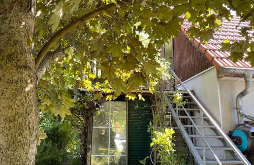 Ferienwohnung mit Sonnenterrasse, Monteursunterkunft, Gästewohnung - Foto 16