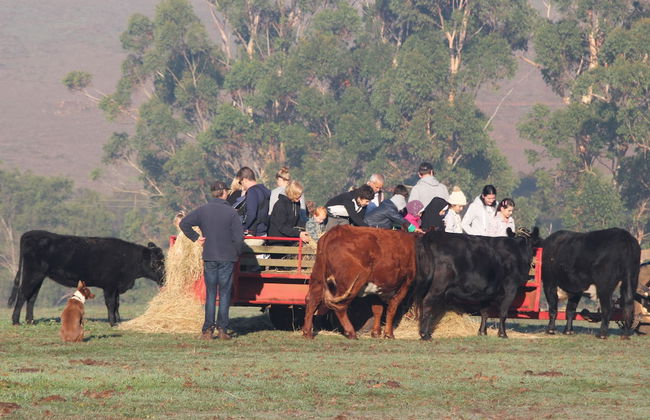 Pump Hill Farm Cottages - Photo 56