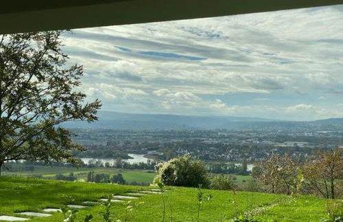 Panorama-Paradies im Rheintal - Foto 1