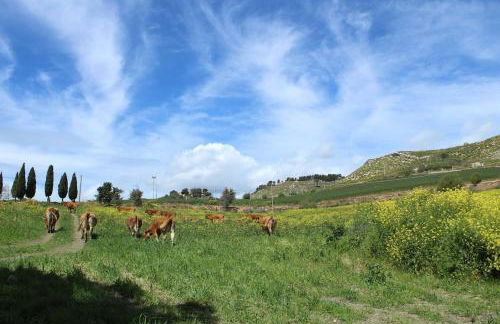 Il Pastore chic - Foto 12