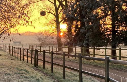 Bluebells Farmstay - Foto 29