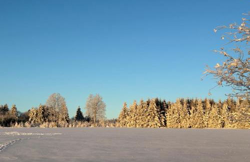 Ferienwohnung Waldblick mit Sauna - Foto 23