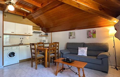 Apartamentos Lausan - Foto 14