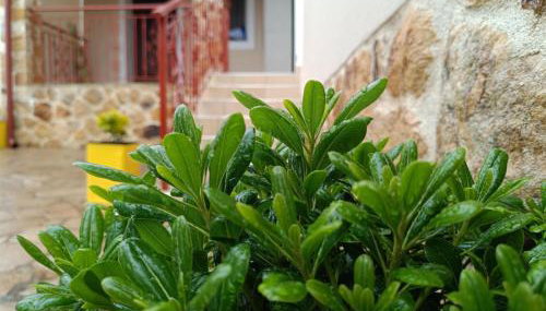 Grandmas Cottage - Photo 2