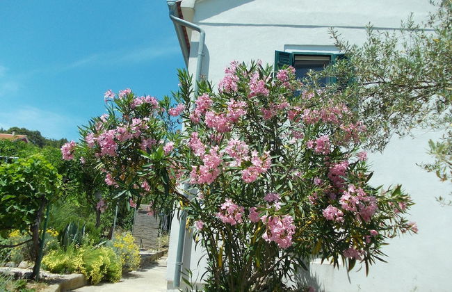 Detached House Miketa - Foto 61