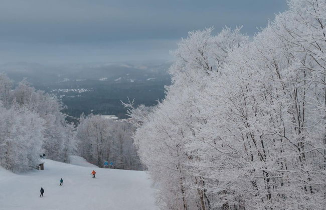 Spacious log Cottage Resort Access Citq 242255 - Foto 60