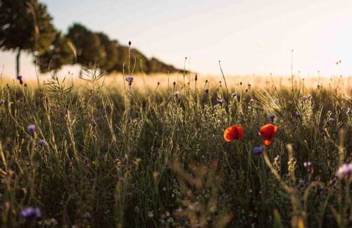 Shropshire House - Foto 13