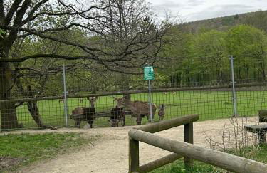 Penthouse ,,Kleine Auszeit" - Foto 24