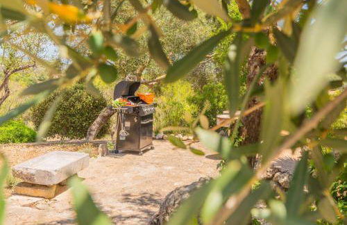 Hortella Ecofinca in San Juan - Foto 82