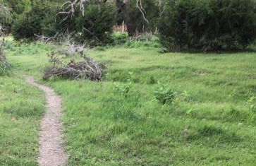 Perfect Country-Side Get-Away - Photo 28