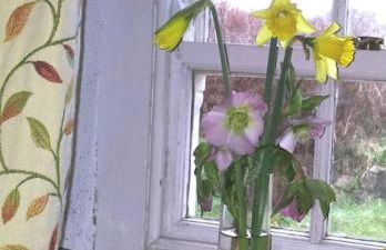 The Cwtsh at Ffynnon Clun: unique. - Photo 35