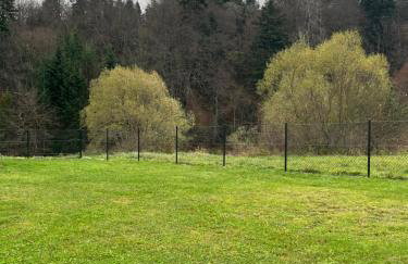 Chata nad Osławą - Foto 8