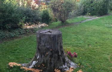 Idyllische Wohnung mitten in der Natur „ Haus Magnolia „ - Foto 1