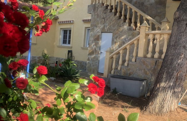 Eliza villa LUX - Foto 29