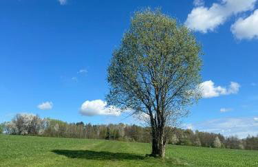 Zakątek Transformacji - Foto 26