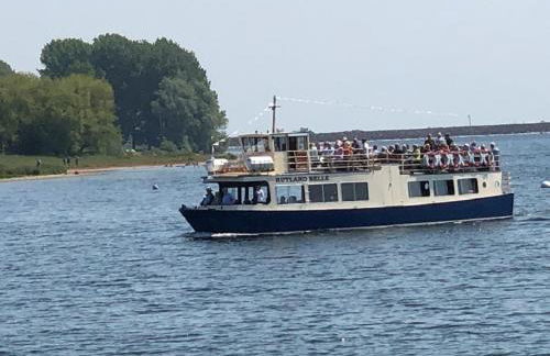 Moo Cow Cottage Self Catering - Photo 35