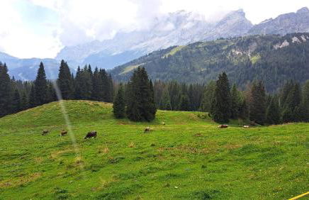 Staguda 59 - Foto 11