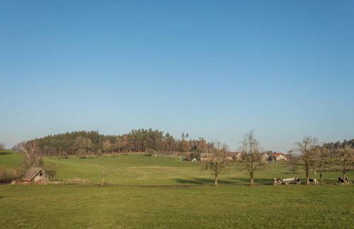 Ferienhof Sauter Romanshorn - Foto 24
