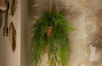 Akasha Spa Retreat Cottage - Foto 9