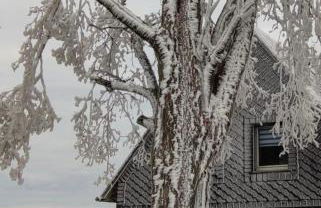 Ferienhaus VILLA ZAUBERBLICK am Rennsteig Frankenwald FREISTEHEND naturnah HUNDEFREUNDLICH eingezäunt - Foto 52