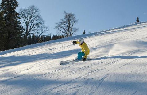 Design-Ferienhaus "auf der Schanz" mit privater Sauna - Todtnau-Muggenbrunn, Feldberg im Schwarzwald - Foto 25