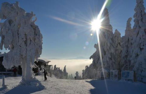 Wofahanslhof - Foto 9