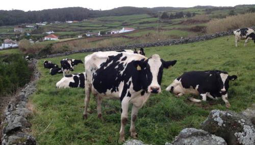 Serreta Island Home - Photo 3