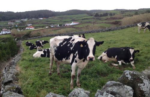 Serreta Island Home - Photo 3