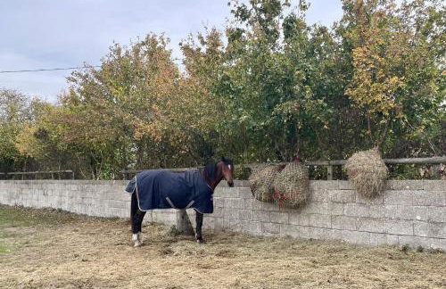 MegaPod 1 at Lee Wick Farm Cottages & Glamping - Foto 15