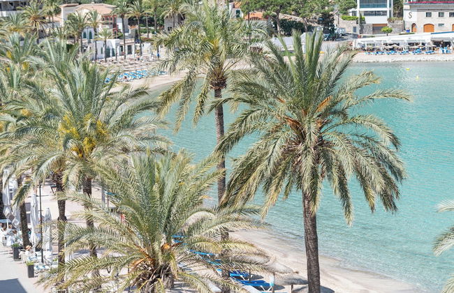 Repic Apartments Sóller - Foto 24