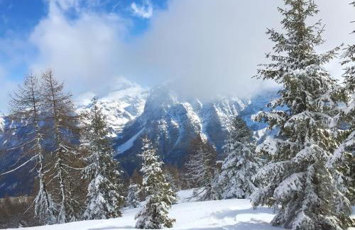 Casetta dei Cuori - Alpine Style Cozy Apartment - Photo 22