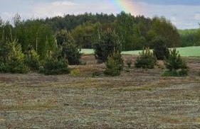 Domki Rekreacyjne "Błękitne Wzgórze" - Foto 75