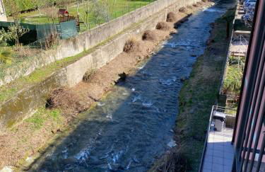 River House - Photo 17