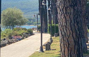 Trevignano Casa fronte lago - Foto 18